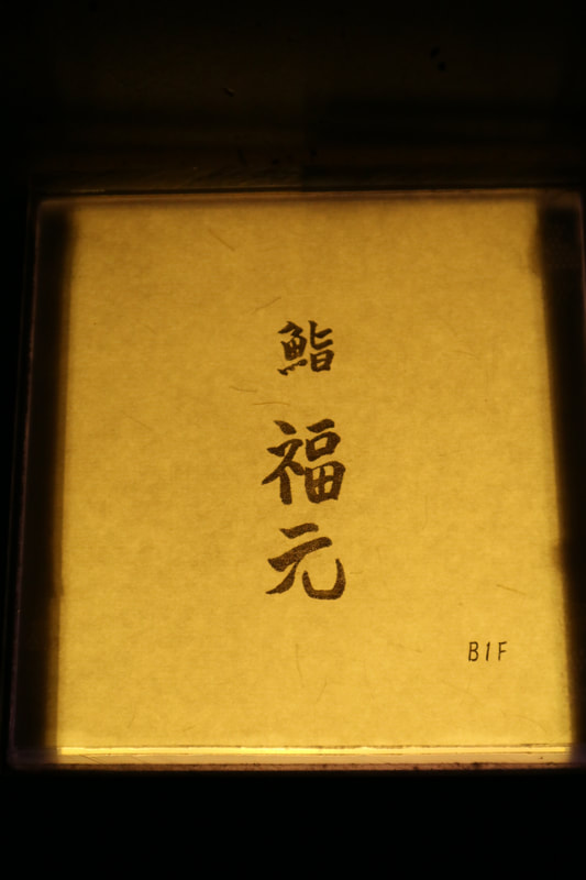 鮨 福元 Sushi Fukumoto